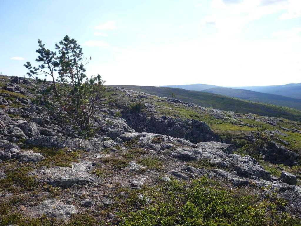 Lemmenjoen Lumo - Nature Experience & Accommodation Lemmenjoki Εξωτερικό φωτογραφία